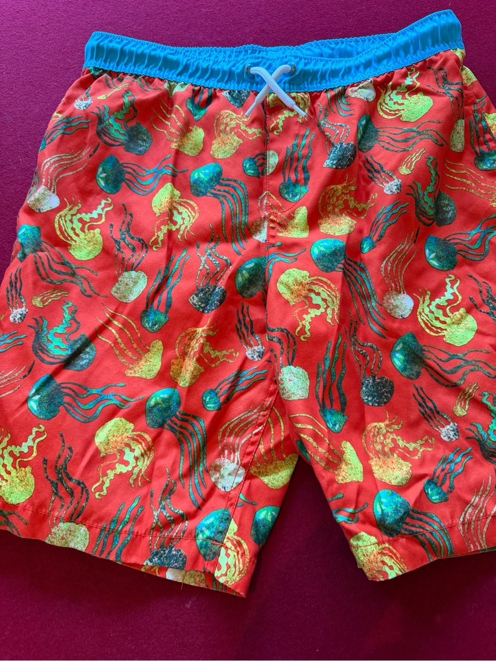 Lands' End Red Jellyfish Print Swim Shorts with Blue Waistband, worn once